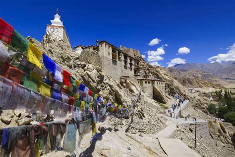 Snow Leopard Trek Ladakh 2024 - Shikhar Travels