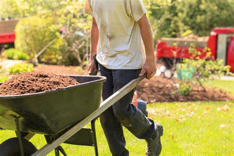 Wheelbarrow Mulch Images Browse 581 Stock Photos Vectors And Video