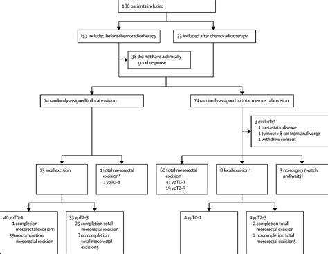 Organ Preservation With Chemoradiotherapy Plus Local Excision For