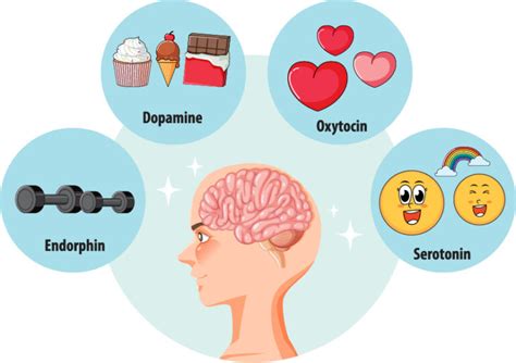 Naturally Boost Your Happy Hormones A Comprehensive Guide To 4 Happy