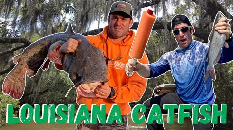 3 Hours Of Catching Catfish In Louisiana Waters Fishing Youtube