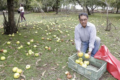 Este fin de semana se realizará la 8ª Feria Tradicional y Costumbrista