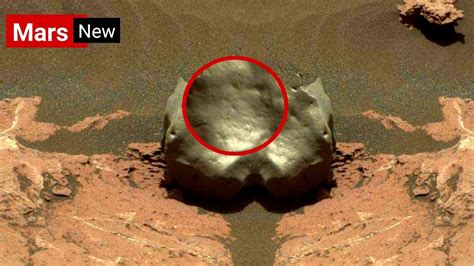 Nasa S Mars Rover Perseverance Sent Most Incredible Fascinating