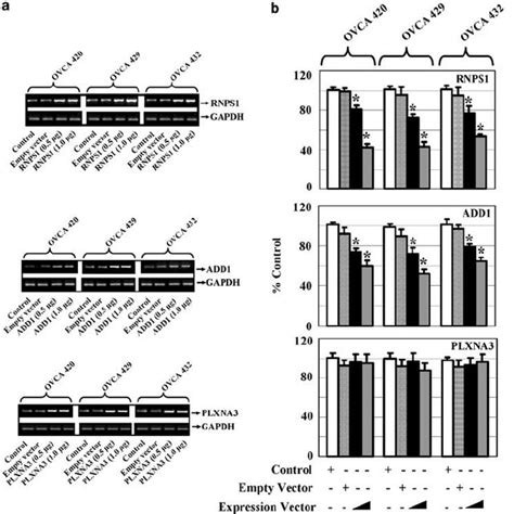 Estrogen Regulated Gene Expression In Hose And Ovca Cells A The Pie