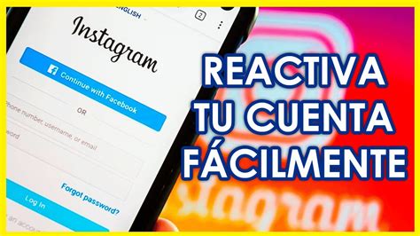 C Mo Reactivar La Cuenta De Instagram Youtube