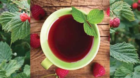 Raspberry Leaf Tea Recipe - Gennysser.com - Healthy Drinks Recipes