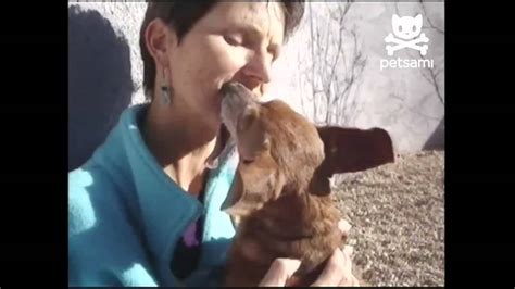 Dog With Longest Tongue Cant Stop Kissing Owner Youtube