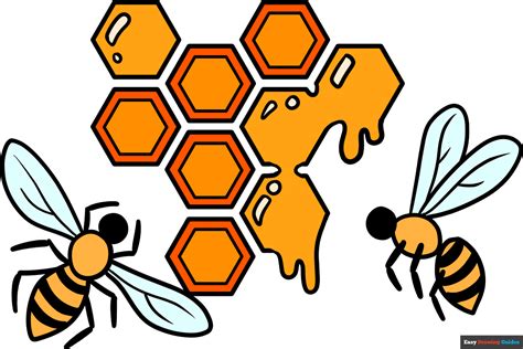 How to Draw a Honeycomb - Really Easy Drawing Tutorial