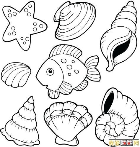 Clam Shell Pages Printable With One Coloring Pages