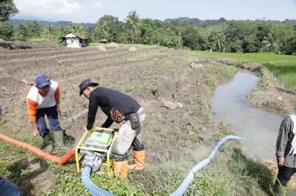 Dorong Percepatan Tanam Mentan Imbau Pejabat Pertanian Segera Turun Ke