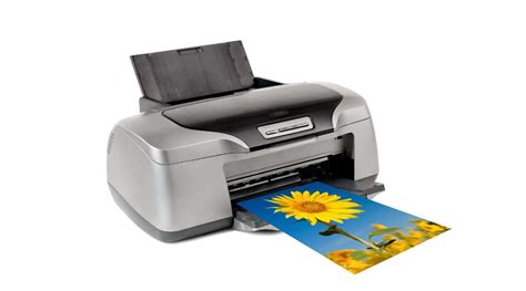 Best Inkjet Printer 2024 Josi Wenona