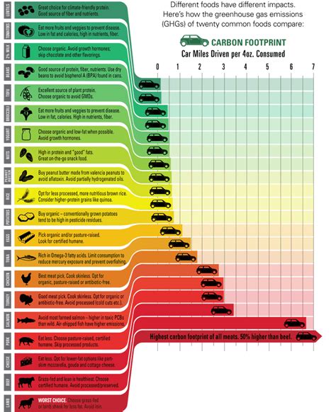 Food Footprint: Is Eating Seafood Better for the Climate Than Meat?