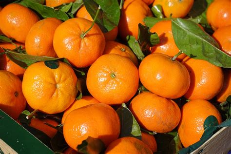 Free photo: Clementines, Fruit, Vitamins - Free Image on Pixabay - 318210