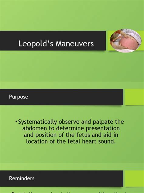 Leopold S Maneuvers Pptm Pdf Anatomy Musculoskeletal System