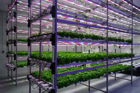 What Are the Advantages of Indoor Vertical Farming? - futuresoftech.com