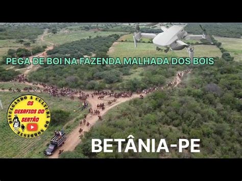 Pega De Boi No Mato Fazenda malhada dos Boi Betânia PE Org ROMERINHO 20