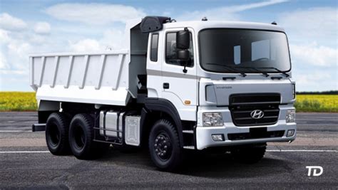 Hyundai HD 250 Cargo Dumper Body 10 Wheeler 2024 Philippines Price