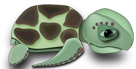 Turtle By Chalcopteryx On Deviantart Turtle By Chalcopteryx On Deviantart