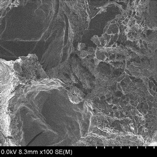 Morphologies Of The CS GP Hydrogels SEM Images Of The Hydrogels Having