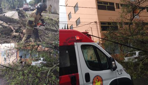 Retiran Rboles Ca Dos Por Lluvias Y Fuertes Vientos En Texcoco