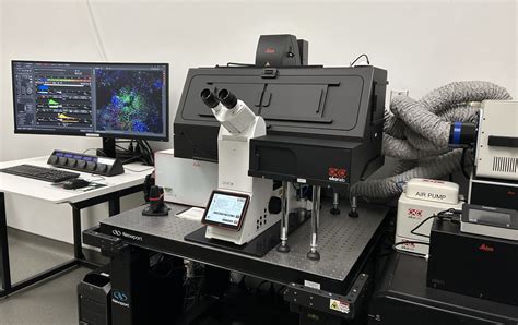 Leica Stellaris Confocal Microscopy Core Facility