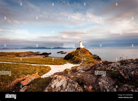 Tŵr Mawr Lighthouse at sunset, Anglesey, North Wales Stock Photo - Alamy