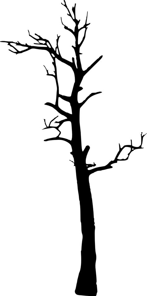 17 Dead Tree Silhouette (PNG Transparent) | OnlyGFX.com