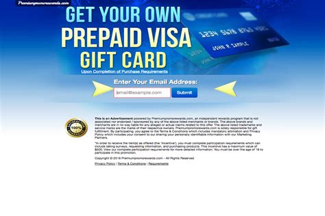 Visa Gift Card / Get a $100 Visa Gift Card!