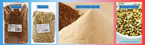 Как приготовить гречневую кашу: особенности