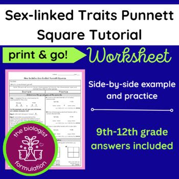 Sex Linked Traits Punnett Square Tutorial Worksheet Tpt