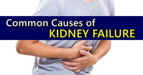 Kidney Failure Causes - Common Factors That May Lead To Kidney Failure