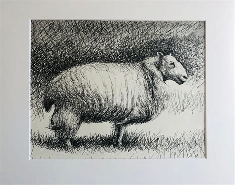 Matted Print From Henry Moores Sheep Sketchbook 1980 Single Sheep