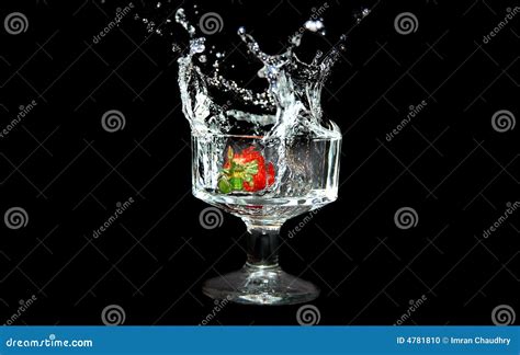 Wet n Wild stock photo. Image of drench, humid, bespatter - 4781810