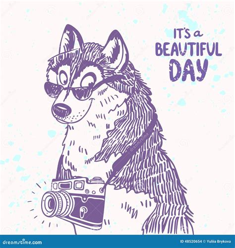 Dog With A Camera Stock Vector Illustration Of Cartoon 48520654