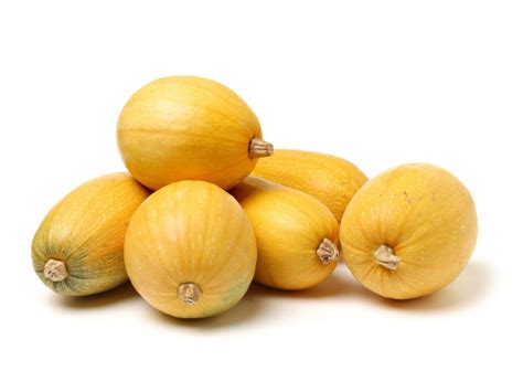 Tips And Information About Squash Gardening Know How