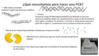 FUNDAMENTOS DE LA PCR PPT