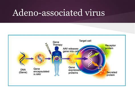 PPT - Gene Therapy PowerPoint Presentation, free download - ID:1987441 