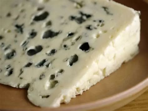 The Roquefort caves - Gastronomy & Holidays guide