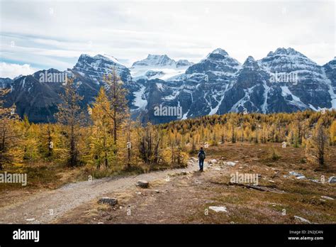 Hiking The Valley Of Ten Peaks Track In Autumn Banff National Park