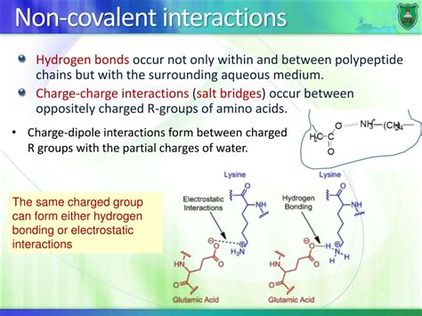 Ppt Protein Structure Powerpoint Presentation Free Download Id9193673