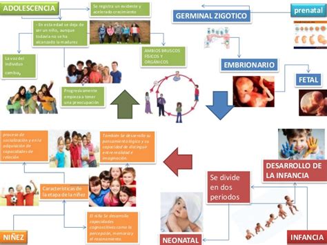 Mapa Mental Del Desarrollo Humano