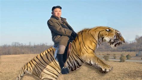 Tiger Fight : r/photoshopbattles