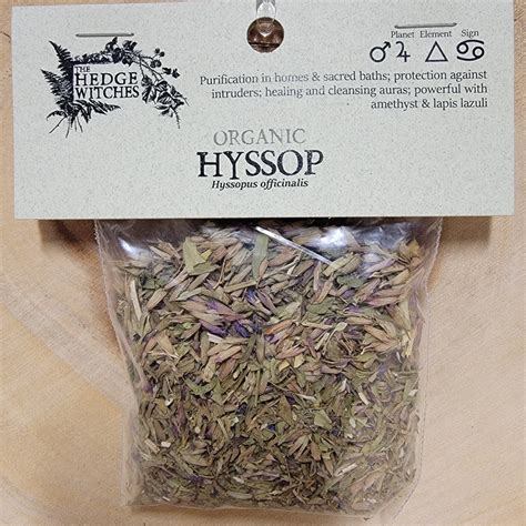 Hyssop – Soul and Synergy