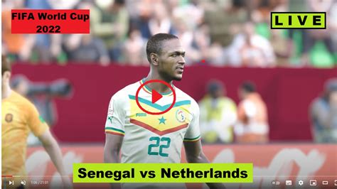 Live Fifa Football Senegal Vs Netherlands Sen Vs Ned Stream World