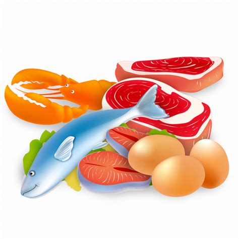 Protein clipart - Clipground