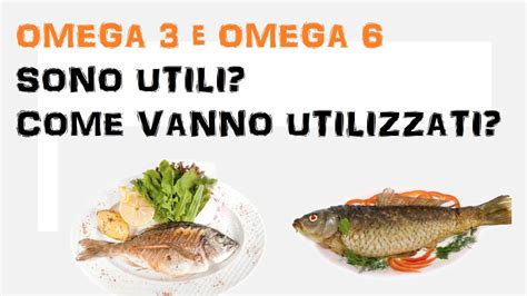 Omega 3 E Omega 6 Sono Utili Youtube