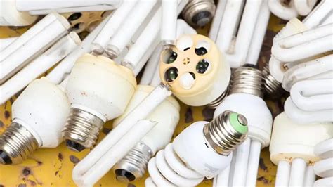 How To Recycle Fluorescent Light Bulbs 6 Creative Ways