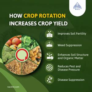 Crop Rotation Benefits For Optimum Crop Yield Nacl