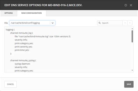 Editing BIND DNS Server Options Micetro 11 0 Documentation