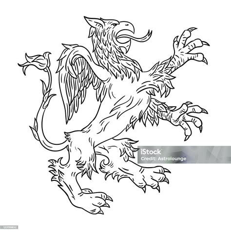 Gryphon 그리핀에 대한 스톡 벡터 아트 및 기타 이미지 - 그리핀, 벡터, 신화 - iStock